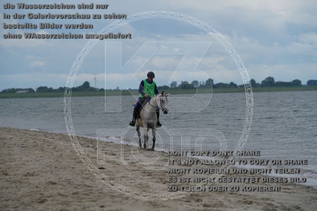 s_K3F04926.JPG